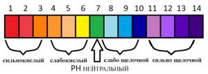 pH-кислотность.jpg