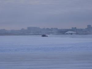 P1010006.jpg