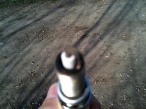 post-17040-0-75659700-1487151569_thumb.jpeg