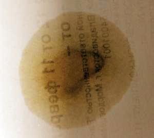 post-2095-0-46284000-1427359202_thumb.jpg
