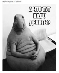post-14362-0-99275900-1488622814_thumb.jpg