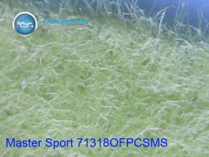 Master-Sport-71318OFPCSMS.jpg