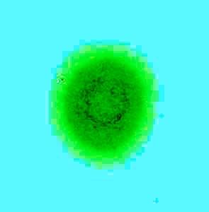 post-2095-0-39574100-1431582468_thumb.jpg