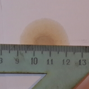 post-22114-0-72707400-1463734124_thumb.png