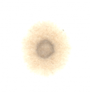 post-25928-0-47131200-1493811832_thumb.png