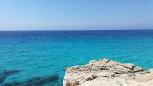 IMG-20170618-WA0017.jpg