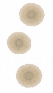 post-16609-0-35424400-1499063825_thumb.jpg