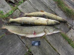 IMG_0075.JPG