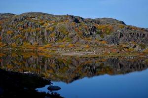 DSC_59321.JPG
