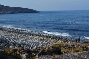 DSC_61191.JPG