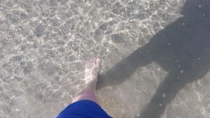 post-1158-0-43650700-1507126603_thumb.jpg