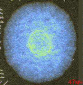 igork-progression.gif