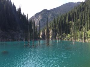 IMG-20150719-WA0006.jpg