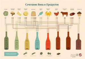 сочетание вина и продуктов.jpg