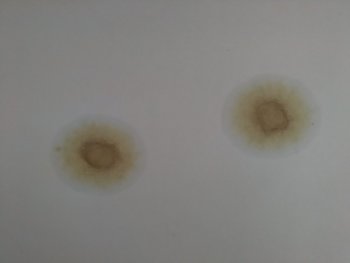 IMG_20180326_153000.jpg