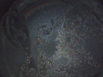 180410_173040.thumb.jpg.5e107b5675d3edfba9c31e602d456d48.jpg