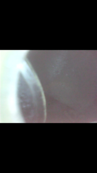 Screenshot_20180412-211118.png