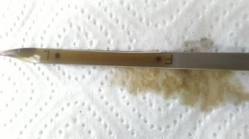 IMG_20180525_071617.jpg
