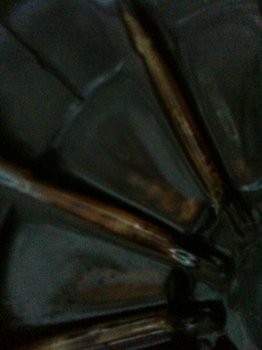image.thumb.jpeg.bdec642134dcacfb41e5a698e5eab85a.jpeg
