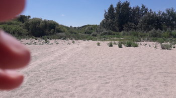 IMG-20180628-WA0030.jpeg