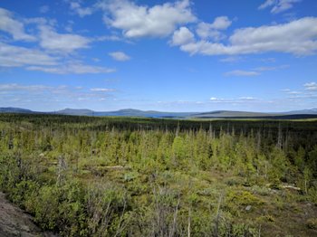 IMG_20180614_160106.jpg