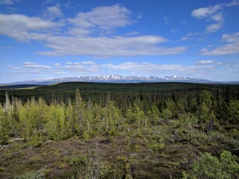 IMG_20180614_160120.jpg
