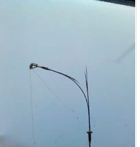 image.png.7468b80ff43f271a54c9c43760cbbc84.png
