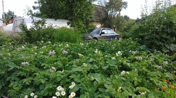 20180717_201140.jpg