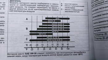 Некси.jpg