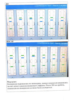 Протокол Wynn`s Diesel System Purge Дикси-15 копия.jpg