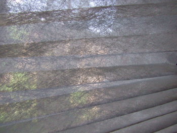 DSCF6633.JPG