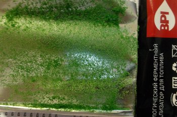 IMG_20170504_114137-1.jpg