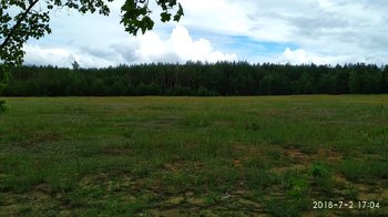 IMG_20180702_170407.jpg