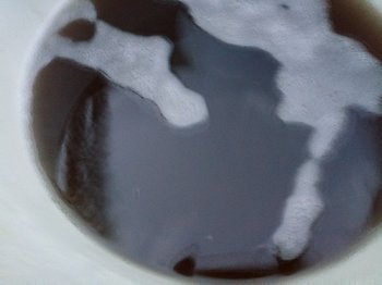 20180812_203509.jpg