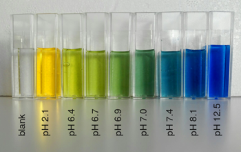 Bromothymol_blue_colors_at_different_pH.png