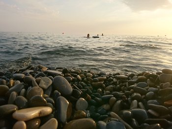 DSC_0236.JPG