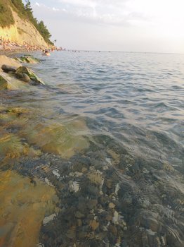 DSC_0248.JPG