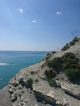 DSC_0262.JPG