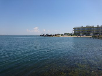 DSC_0411.JPG