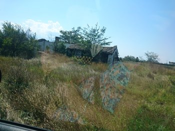 DSC_0413.JPG