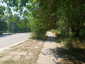 DSC_0420.JPG