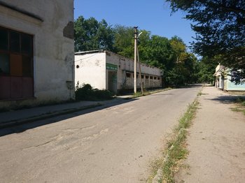 DSC_0423.JPG