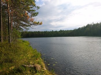 DSC_0563.JPG