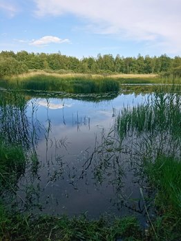 DSC_0580.JPG