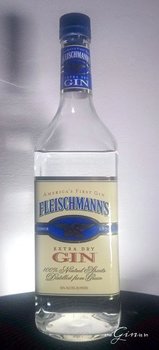 Fleischmanns-Gin-Bottle.jpg
