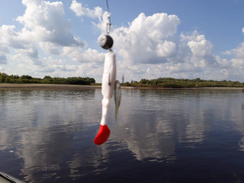 20180908_130932.jpg
