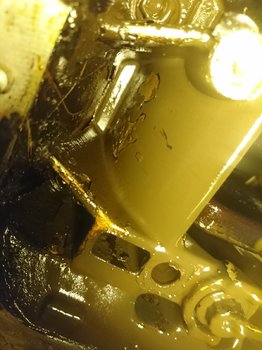 DSC_1016.JPG