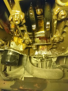 DSC_1020.JPG
