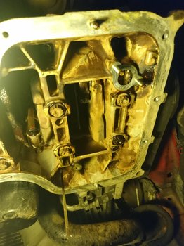 DSC_1022.JPG