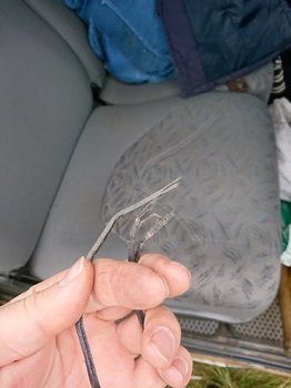 DSC_1097.JPG